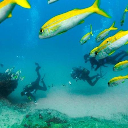 Devocean Eco Adventure Lodge Понта-ду-Ору Екстер'єр фото